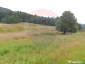 Teren 20000 mp, sat Dalghiu, com Vama Buzaului
