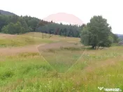 Teren 20000 mp, sat Dalghiu, com Vama Buzaului