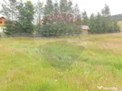 Teren 20000 mp, sat Dalghiu, com Vama Buzaului