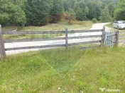 Teren 20000 mp, sat Dalghiu, com Vama Buzaului