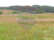 Teren 20000 mp, sat Dalghiu, com Vama Buzaului