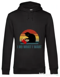 Hoodie barbat cu gluga I do what i want Negru