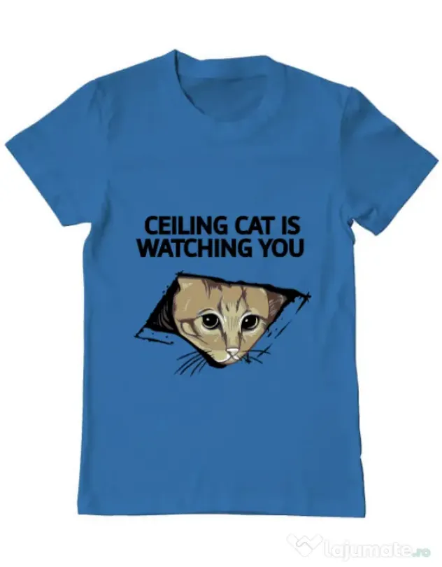 Tricou ADLER barbat Ceiling cat Albastru azuriu
