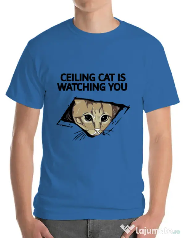 Tricou ADLER barbat Ceiling cat Albastru azuriu