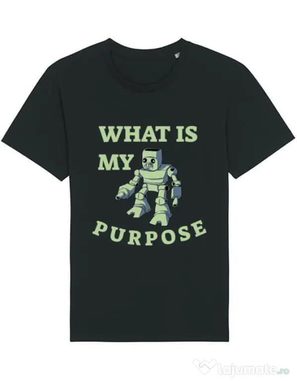 Tricou STANLEY STELLA barbat What is my purpose Negru