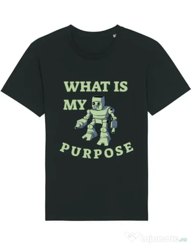 Tricou STANLEY STELLA barbat What is my purpose Negru
