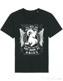 Tricou STANLEY STELLA barbat The best men are born as Aries Negru