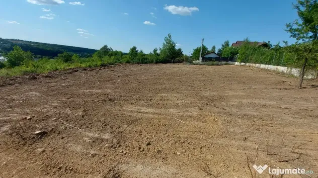 Teren intravilan , Bucium Barnova
