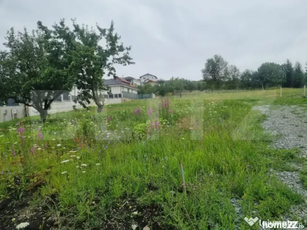 Teren 700 mp cu priveliște spre oraș, disponibil și parce - Bistrita (Bistrita-Nasaud)