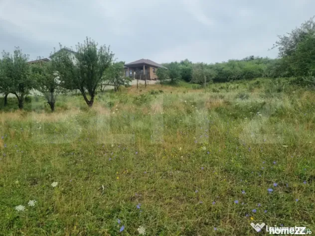 Teren 700 mp cu priveliște spre oraș, disponibil și parce - Bistrita (Bistrita-Nasaud)