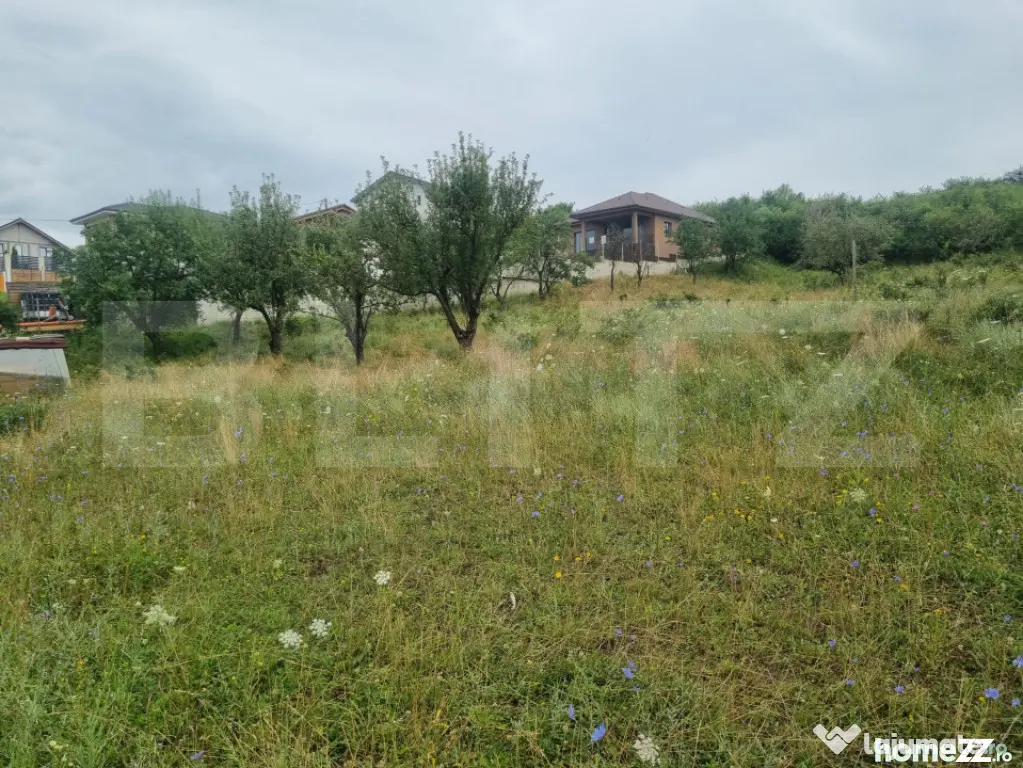 Teren 700 mp cu priveliște spre oraș, disponibil și parce - Bistrita (Bistrita-Nasaud)