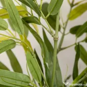 HOMCOM Plantă Artificială de Bambus Înaltă de 90 cm cu 504 Frunze din PEVA și PP Verde cu Ghiveci din Ciment Ø15x12.5 cm 