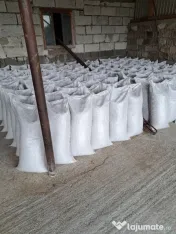 Orz de toamnă 