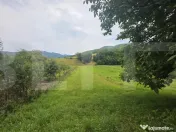 Casa taraneasca de lemn cu veranda 