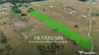 Teren intravilan 5000mp Valea Avrigului 