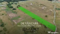 Teren intravilan 5000mp Valea Avrigului