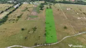 Teren intravilan 5000mp Valea Avrigului 