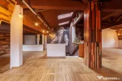 Spatiu comercial premium in vila – Bd. Republicii, Pitesti 