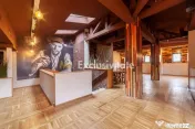 Spatiu comercial premium in vila – Bd. Republicii, Pitesti 