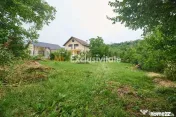 Teren 2240 mp intravilan + casa batraneasca Hintesti-Basa...
