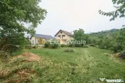 Teren 2240 mp intravilan + casa batraneasca Hintesti-Basa...
