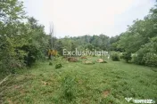Teren 2240 mp intravilan + casa batraneasca Hintesti-Basa...