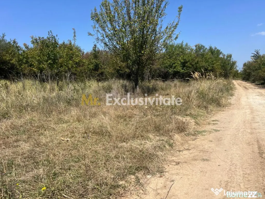 Teren intravilan 5744 mp Mosoaia-Prunilor
