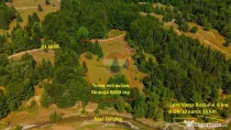 Teren 6000 mp, Valea Dălghiului - Vama Buzăului - veder...