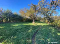 Teren extravilan 3200mp zona Tropinii Vechi