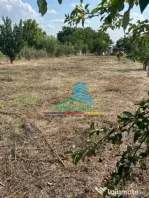 Teren 1500 mp pentru Casă | Petrești, Zonă de Case