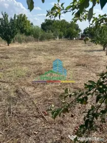 Teren 1500 mp pentru Casă | Petrești, Zonă de Case