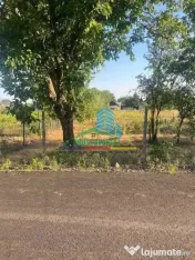 Teren 1500 mp pentru Casă | Petrești, Zonă de Case 