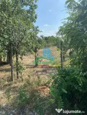 Teren 1500 mp pentru Casă | Petrești, Zonă de Case 