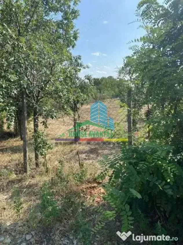 Teren 1500 mp pentru Casă | Petrești, Zonă de Case