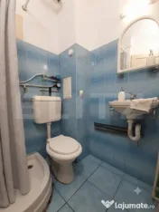 Apartament 1 camera 24 mp, etaj 1, zona Blascovici 