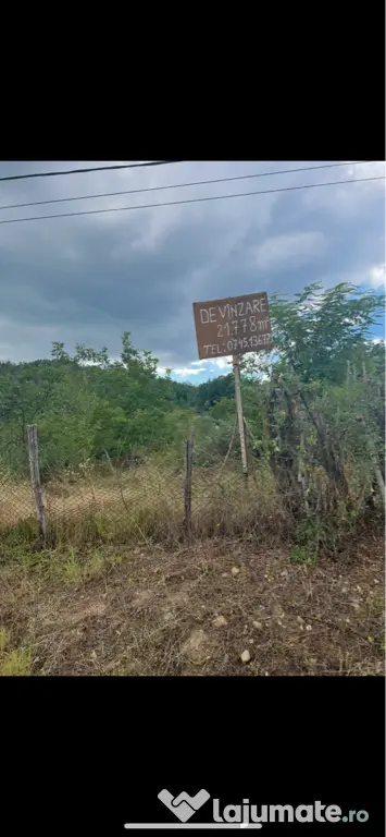 Teren intravilan de vanzare