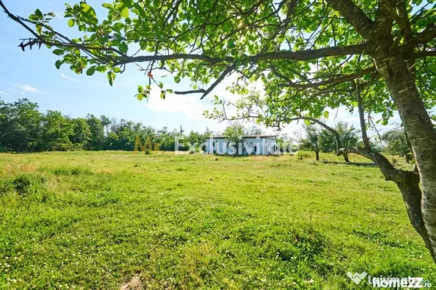 Teren Intravilan 1100 mp + Anexă 120 mp - Budeasa, Calot...