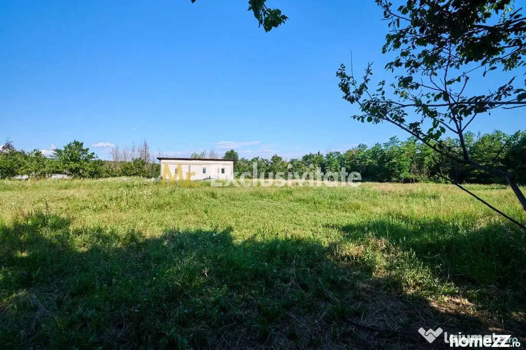Teren Intravilan 1100 mp + Anexă 120 mp - Budeasa, Calot...