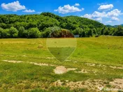 Teren intravilan cu PUZ aprobat Rasnov -Glajarie, 1389- 3...