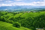 7.000 mp, pozitie spectaculoasa, fara vecini, Fundatica, Bra