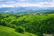 7.000 mp, pozitie spectaculoasa, fara vecini, Fundatica, Bra