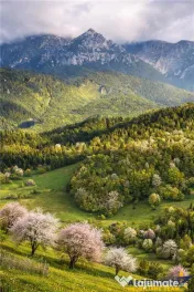 7.000 mp, pozitie spectaculoasa, fara vecini, Fundatica, Bra