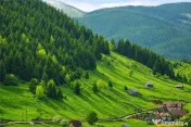 7.000 mp, pozitie spectaculoasa, fara vecini, Fundatica, Bra