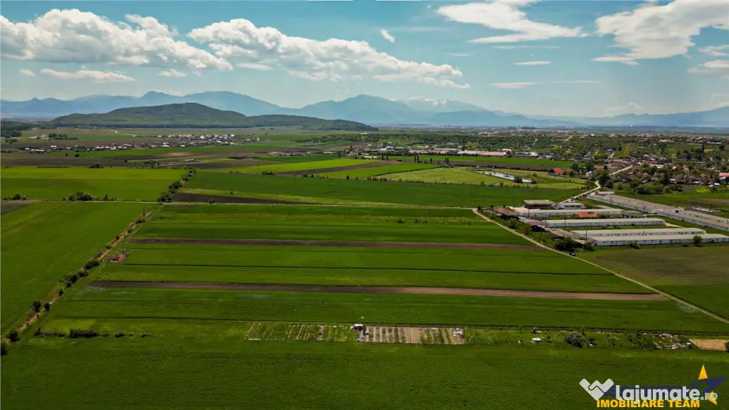 FILM! Teren extravilan 5.000 mp in zona linistita cu acces f