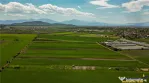 FILM! Teren extravilan 5.000 mp in zona linistita cu acces f