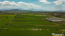 FILM! Teren extravilan 5.000 mp in zona linistita cu acces f