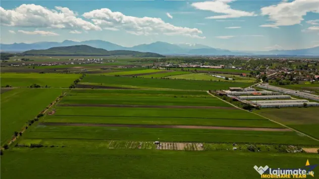 FILM! Teren extravilan 5.000 mp in zona linistita cu acces f