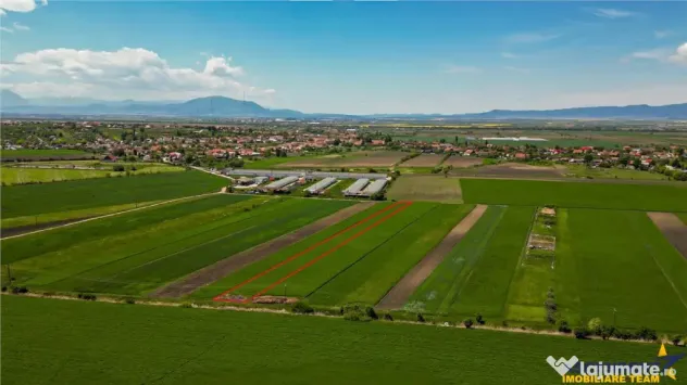 FILM! Teren extravilan 5.000 mp in zona linistita cu acces f