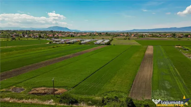 FILM! Teren extravilan 5.000 mp in zona linistita cu acces f