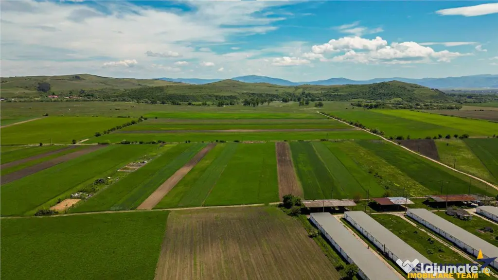 FILM! Teren extravilan 5.000 mp in zona linistita cu acces f